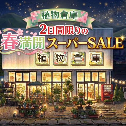 植物倉庫2026が春満開スーパーSALEを開催、観葉植物と体験イベントの2日間企画が久留米に集結