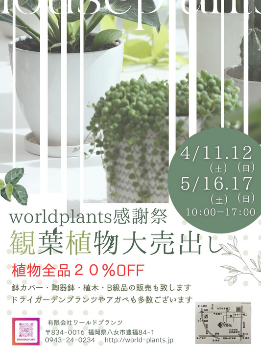 worldplants感謝祭2026が観葉植物大売出しを開催、観葉植物20%OFFと関連商品販売が八女市に集結