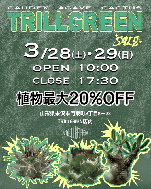 TRILLGREENがCAUDEXAGAVECACTUSTRILLGREENSALE2026を開催、山形県米沢市で植物最大20%OFFの2日間販売