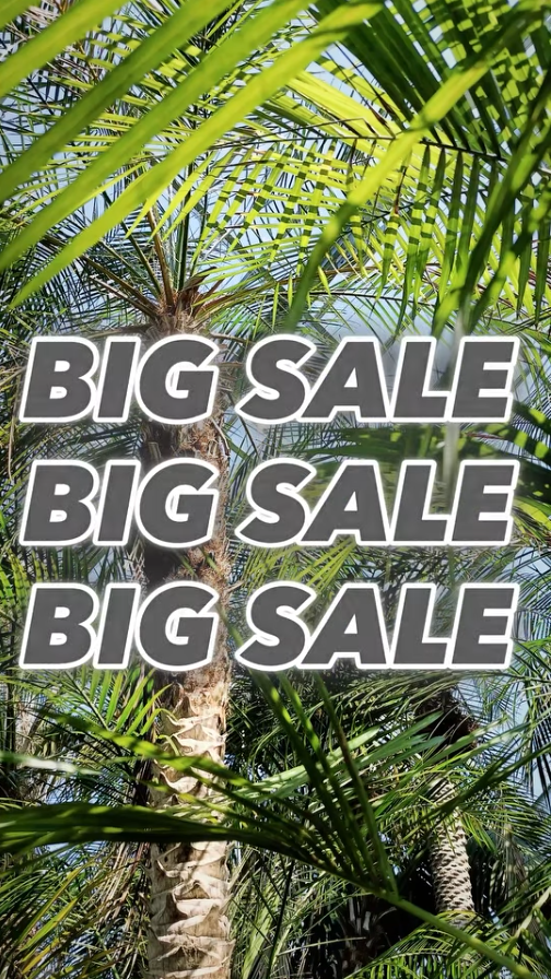 Flower＆GreenIZUMIENBIGSALE2026が温室内植物大セールを開催、狛江の植物販売で最大50%OFFを実施