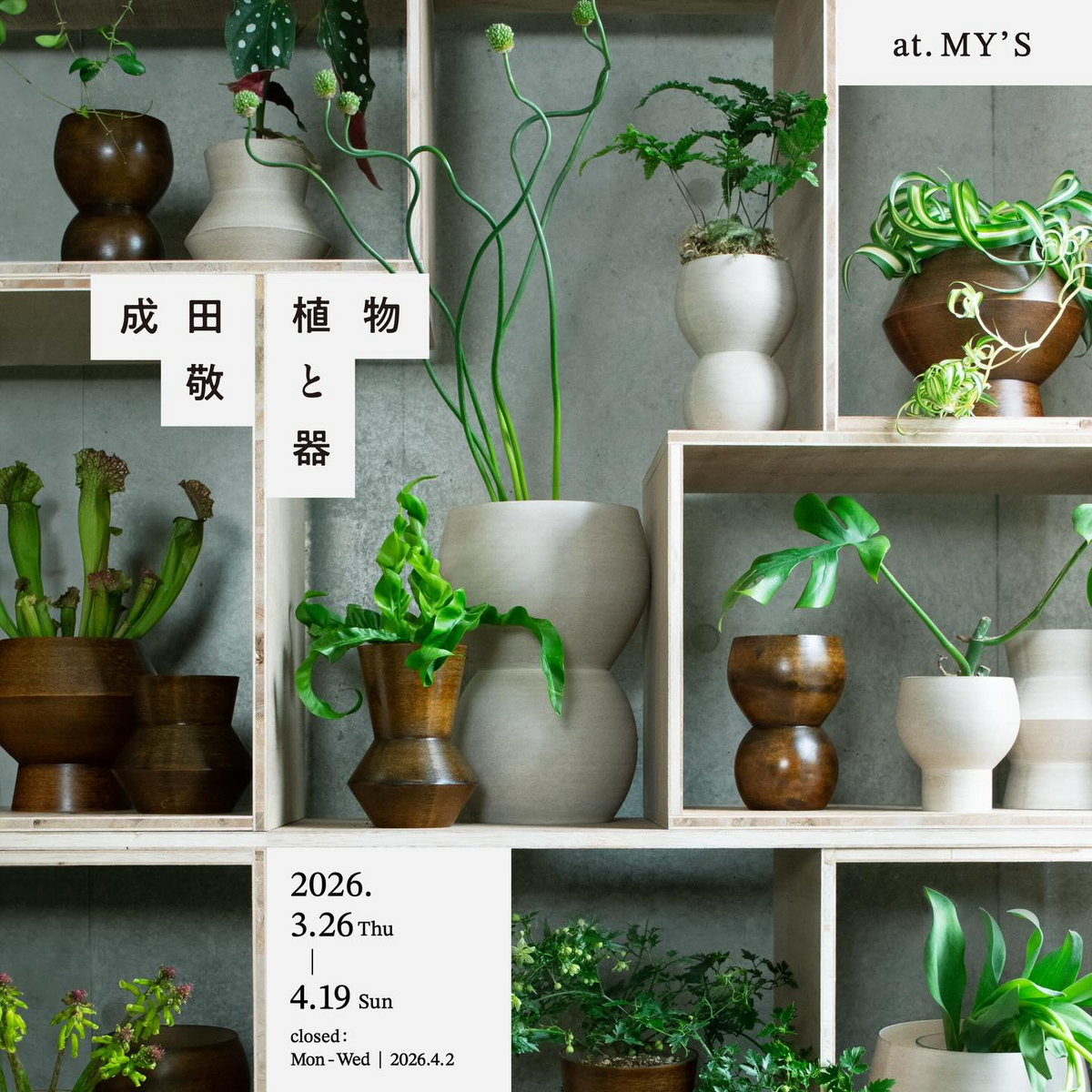 植物と器成田敬2026がMY'Sで展示販売を開催、3Dプリントの植木鉢と花器