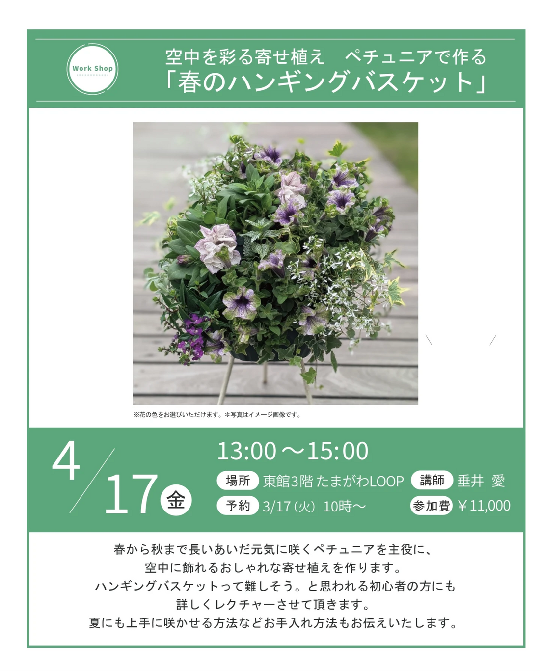 玉川高島屋S.Cが春のハンギングバスケット講座を開催、ペチュニアの寄せ植え作りを初心者向けに実施