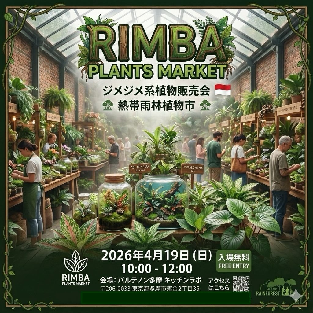 RIMBAPLANTSMARKET2026が熱帯雨林植物市を開催、AGLAONEMAやHOMALOMENAの販売が多摩に集結