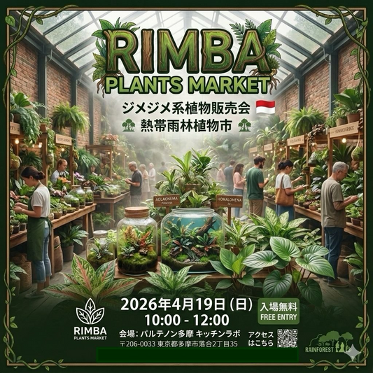 RIMBAPLANTSMARKET2026が熱帯雨林植物市を開催、AGLAONEMAやHOMALOMENAの販売が多摩に集結