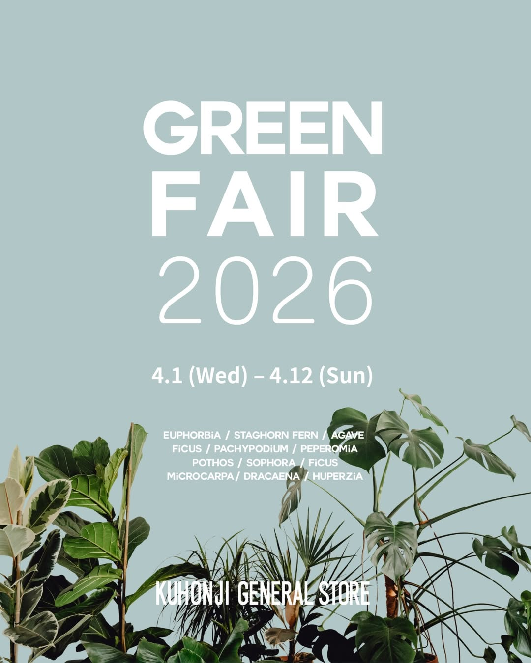 KUHONJIGENERALSTOREがGREENFAIR2026を開催、自然な樹形の観葉植物が熊本九品寺に集結