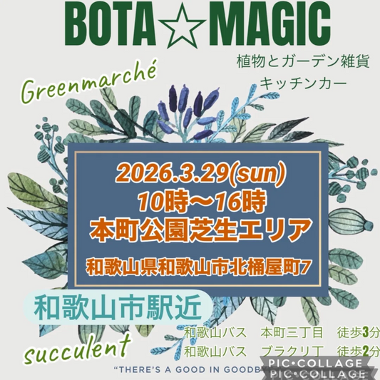 BOTA☆MAGIC2026が本町公園で開催、植物とガーデン雑貨と多肉植物の寄せ植え販売が和歌山に集結