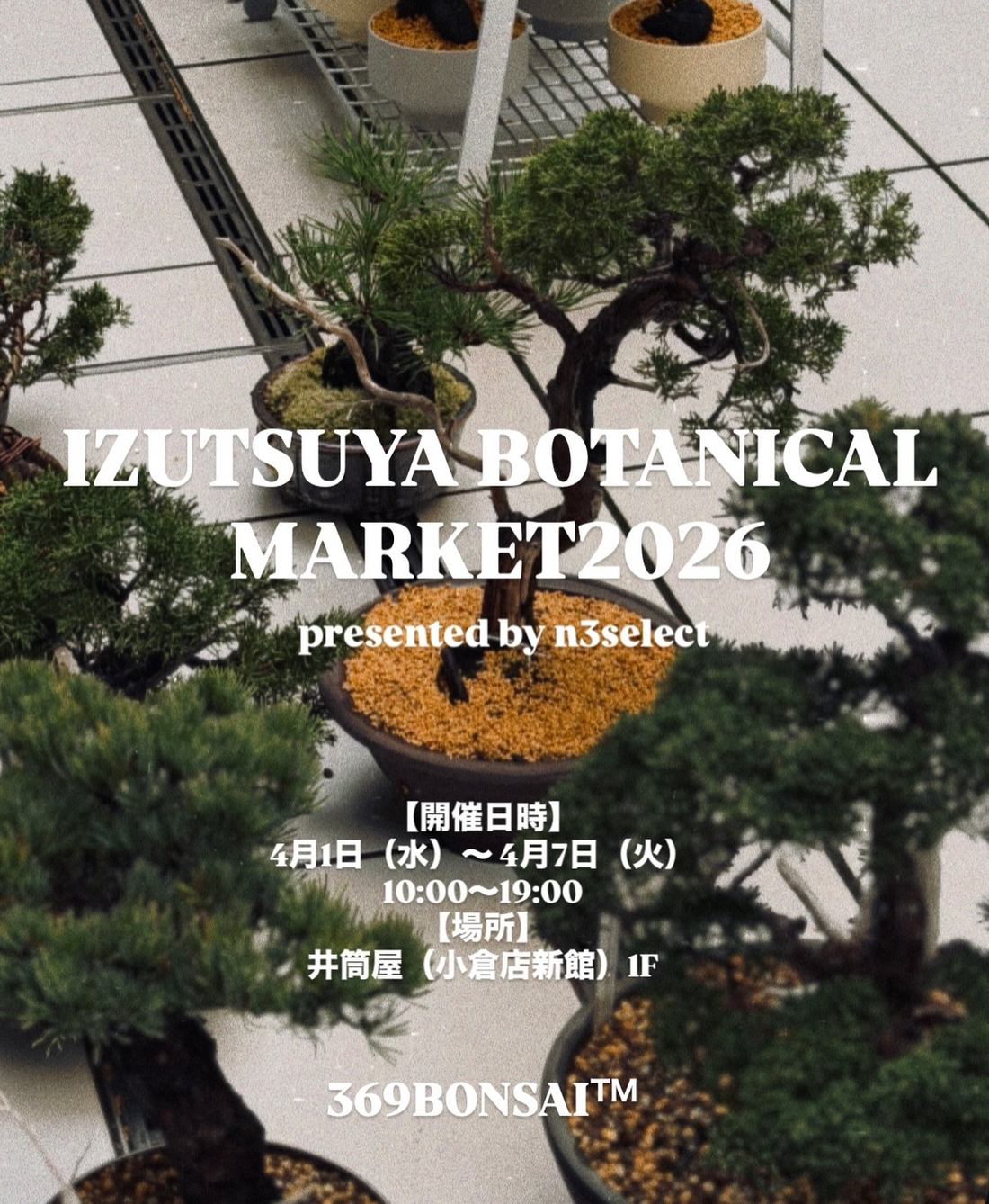 IZUTSUYA BOTANICAL MARKET 2026が小倉井筒屋で開催、盆栽と塊根植物の