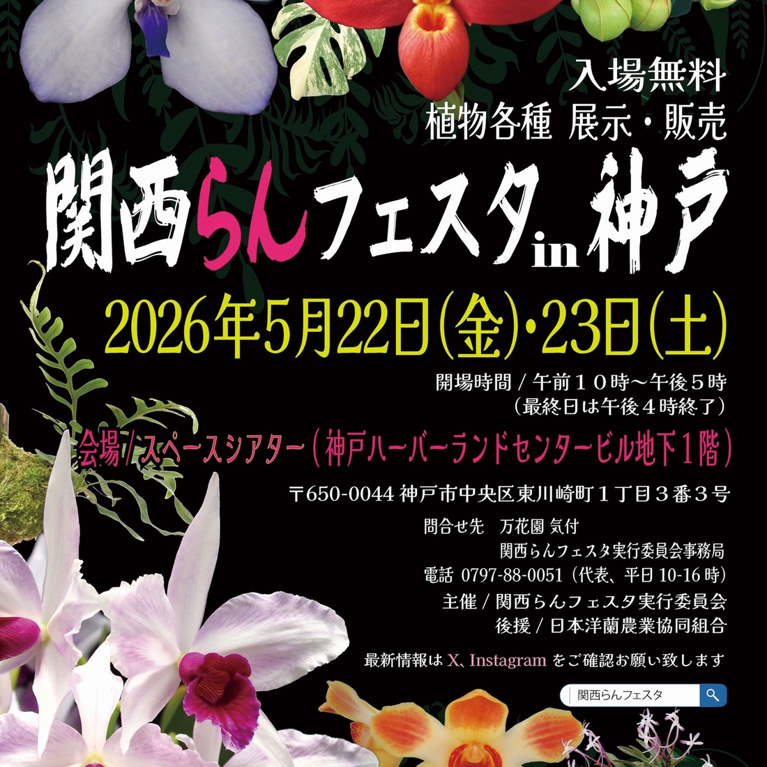 関西らんフェスタ in 神戸2026が開催決定、洋ラン展示販売イベントが神戸ハーバーランドで実施