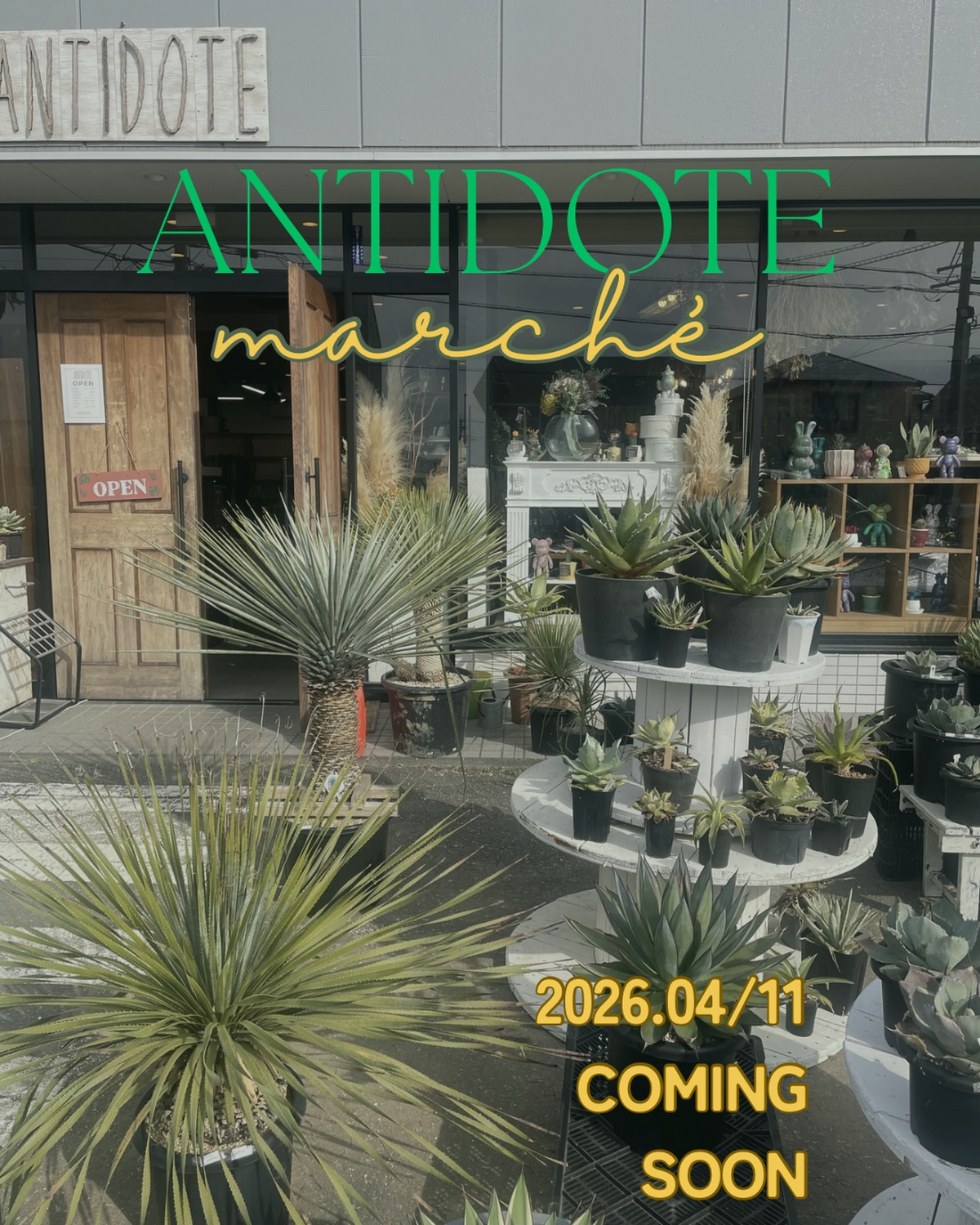 ANTIDOTE marché2026が静岡で開催決定、アガベと多肉植物販売マルシェ 