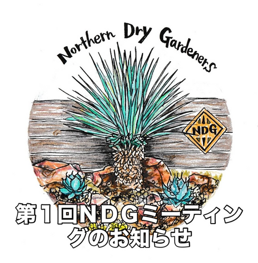 第1回NDGミーティングDryGarden勉強会vol12026が開催、寒冷地向けドライガーデン学習会が岩手で実施