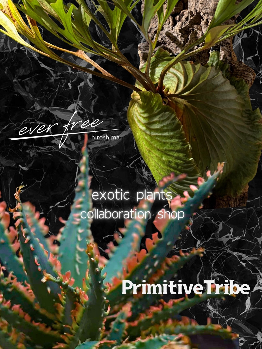 旅する蚤の市ever free2026が開催、広島で全国90店舗と植物販売が集結