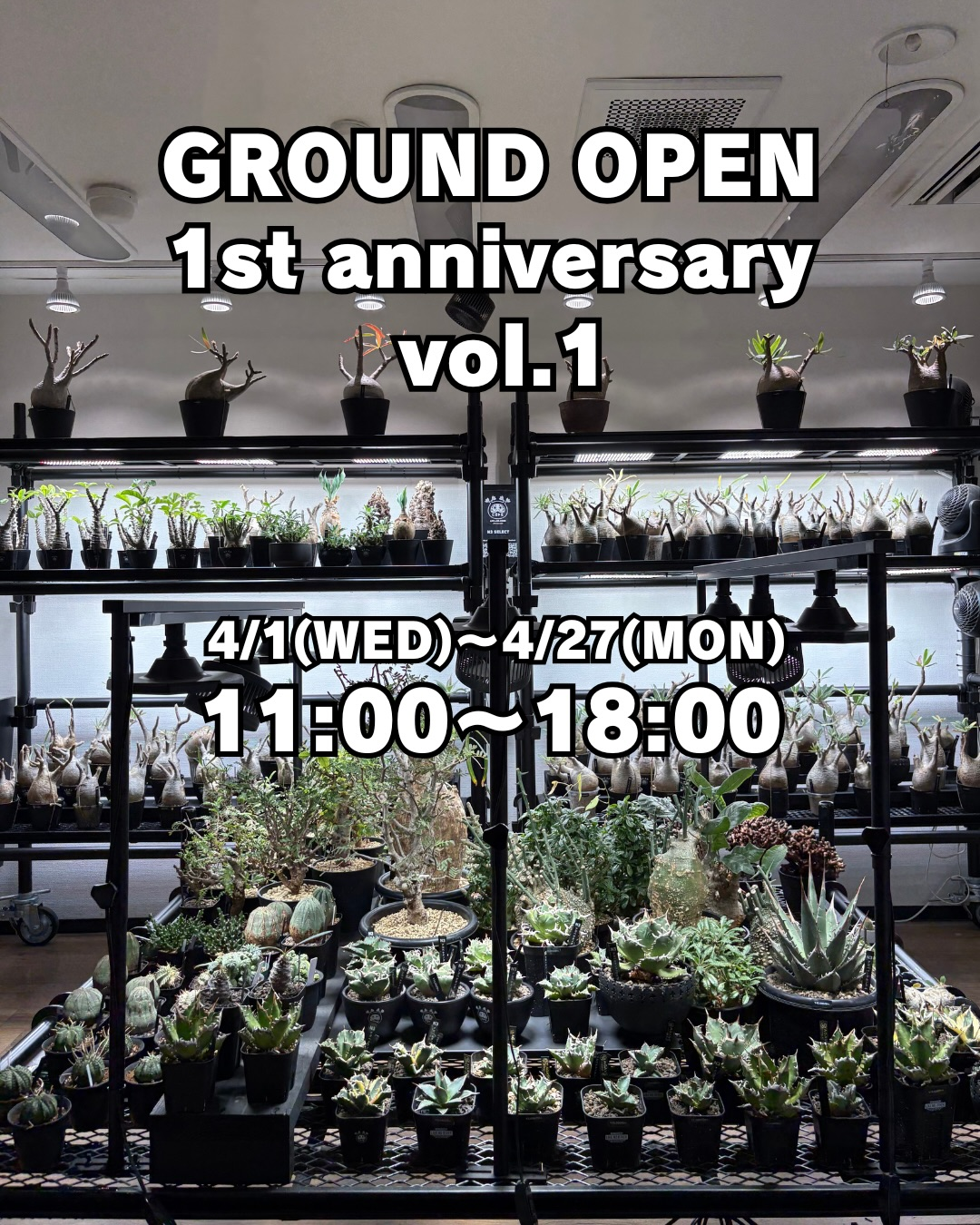 N3SELECTがGROUND OPEN 1st anniversary vol12026を開催、福岡で周年記念と限定ガチャ企画を実施 - リーフラ編集部