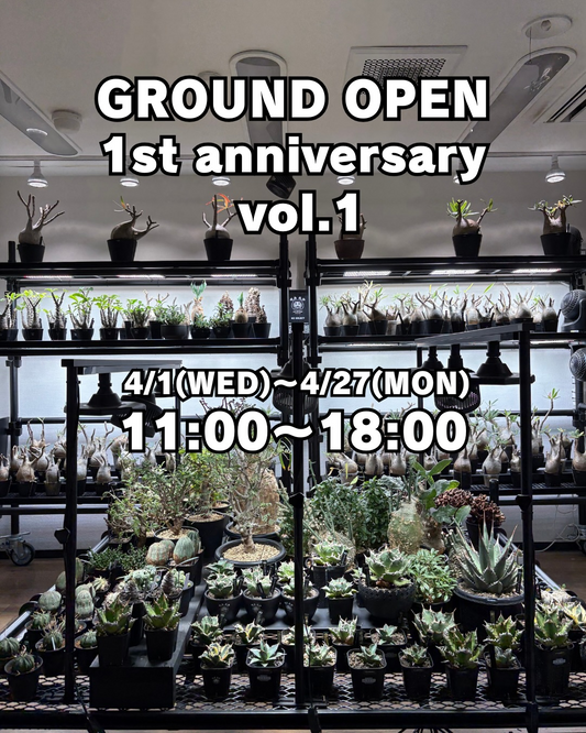 N3SELECTがGROUND OPEN 1st anniversary vol12026を開催、福岡で周年記念と限定ガチャ企画を実施