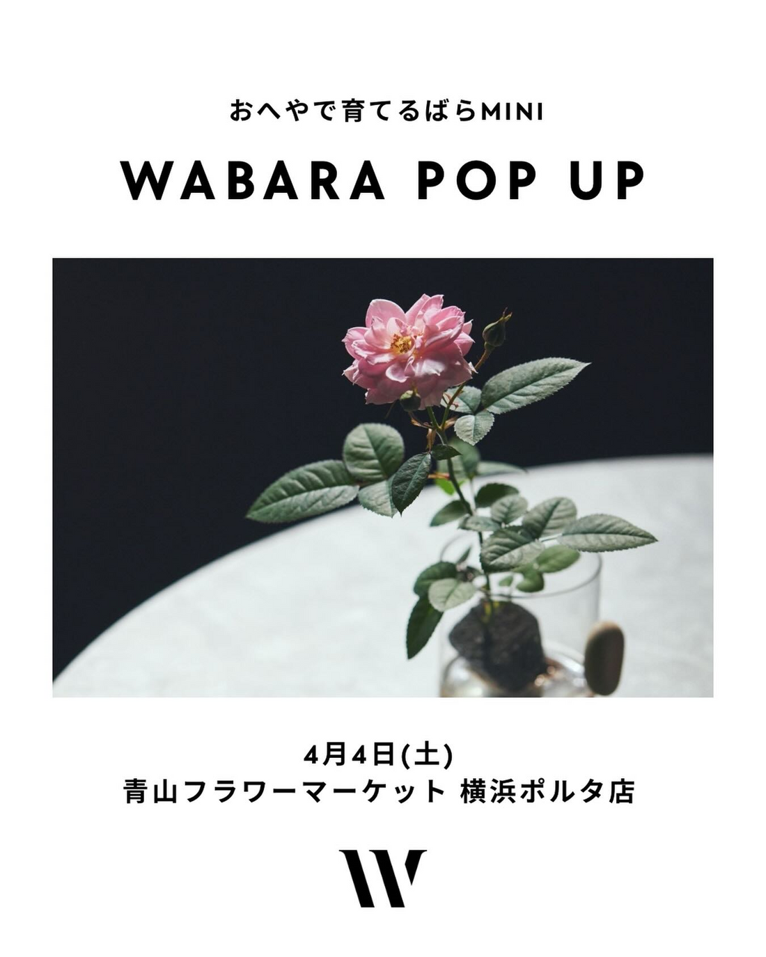 青山フラワーマーケット横浜ポルタ店がおへやで育てるばらMINIWABARAPOPUP2026を開催、室内向けばら苗販売会を実施
