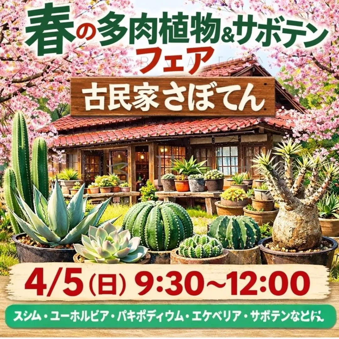 ヨネヤマプランテイション本店が春の多肉植物サボテンフェア2026を開催、横浜で多肉植物販売イベント実施 - リーフラ編集部