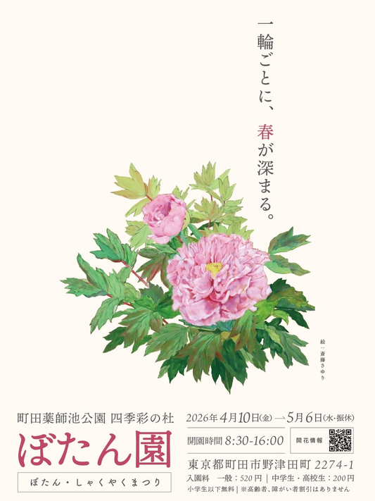 町田薬師池公園四季彩の杜ぼたん園がぼたん・しゃくやくまつり2026を開催、春の花景色が町田で見頃に