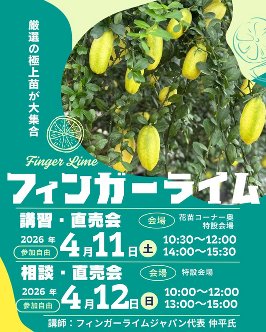 ガーデンガーデン豊橋本店がフィンガーライム講習直売会2026を開催、極上苗と栽培相談の2日間に