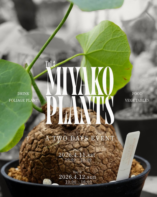 TORIKO FARM MIYAKOJIMAがVol.3 MIYAKO PLANTS 2026を開催、宮古島で植物と飲食の複合イベントが2日間に
