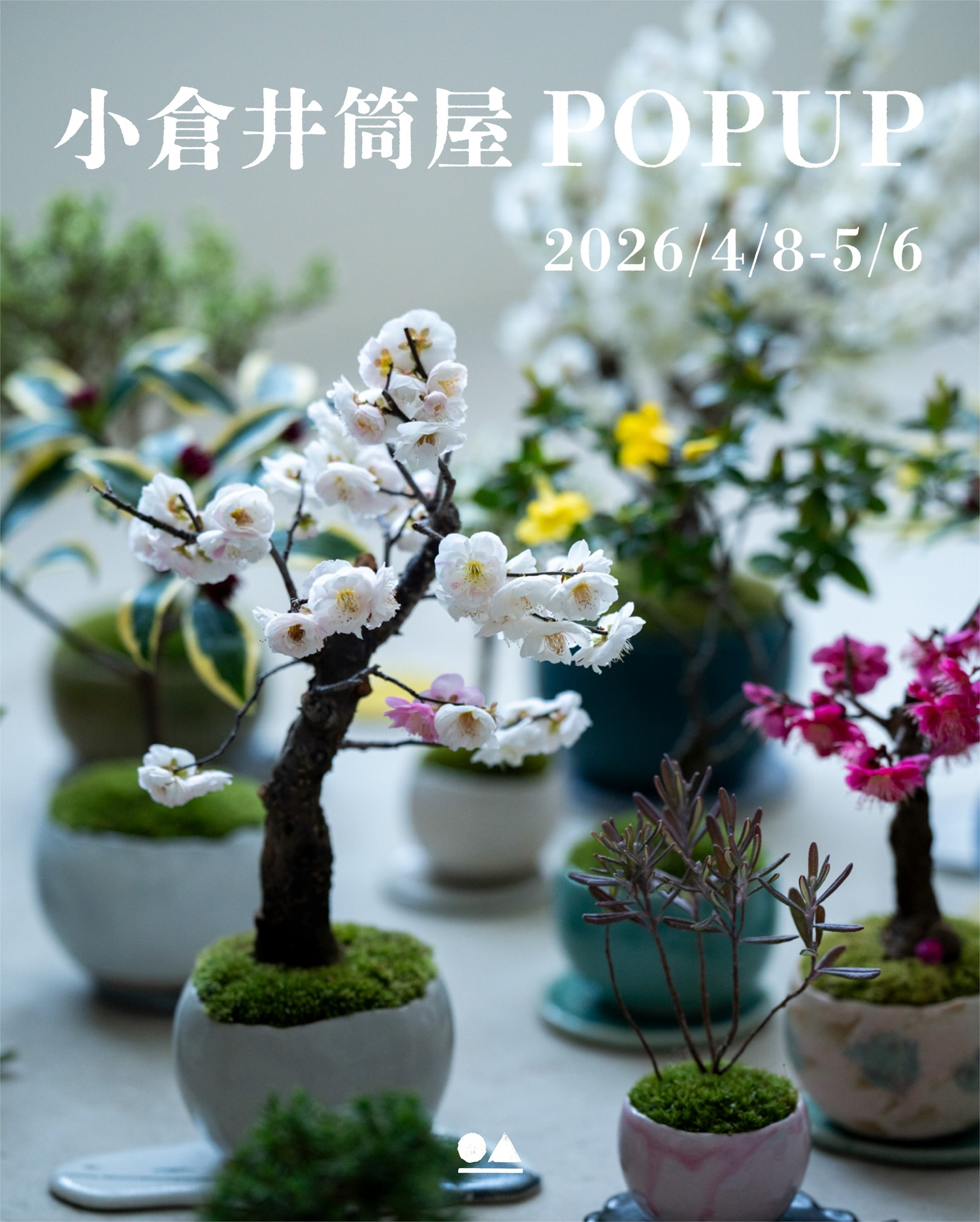 石木花が井筒屋小倉店POPUP2026を開催、開花と芽吹きを楽しめる樹種が