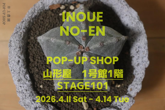 井上農園がINOUENO-ENPOP-UPSHOP2026を開催、山形屋で珍奇植物と千円くじが楽しめる