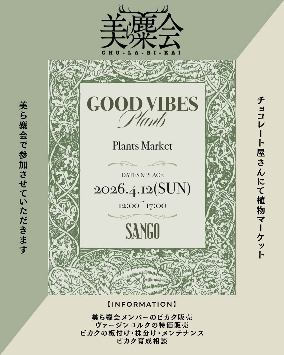 美ら麋会CHU-LA-BI-KAI2026がSANGOで開催、沖縄でビカクシダ販売と育成相談が集まる