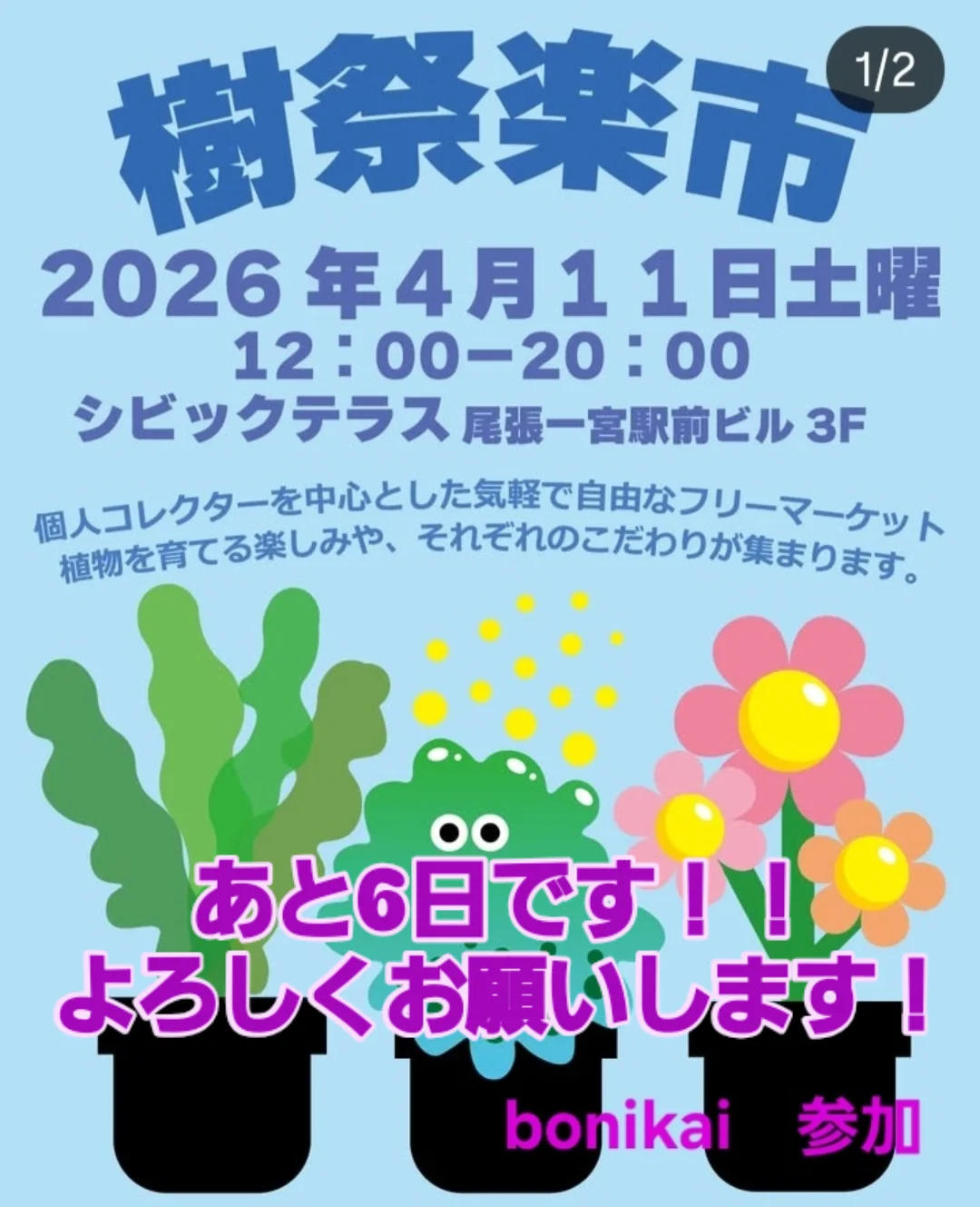 樹祭楽市2026が一宮で開催、個人コレクターの植物フリーマーケットに多肉植物が集まる