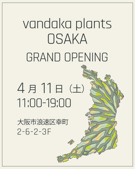 vandakaplantsがvandakaplantsOSAKAGRANDOPENING2026を開催、大阪店開業で特典企画が充実