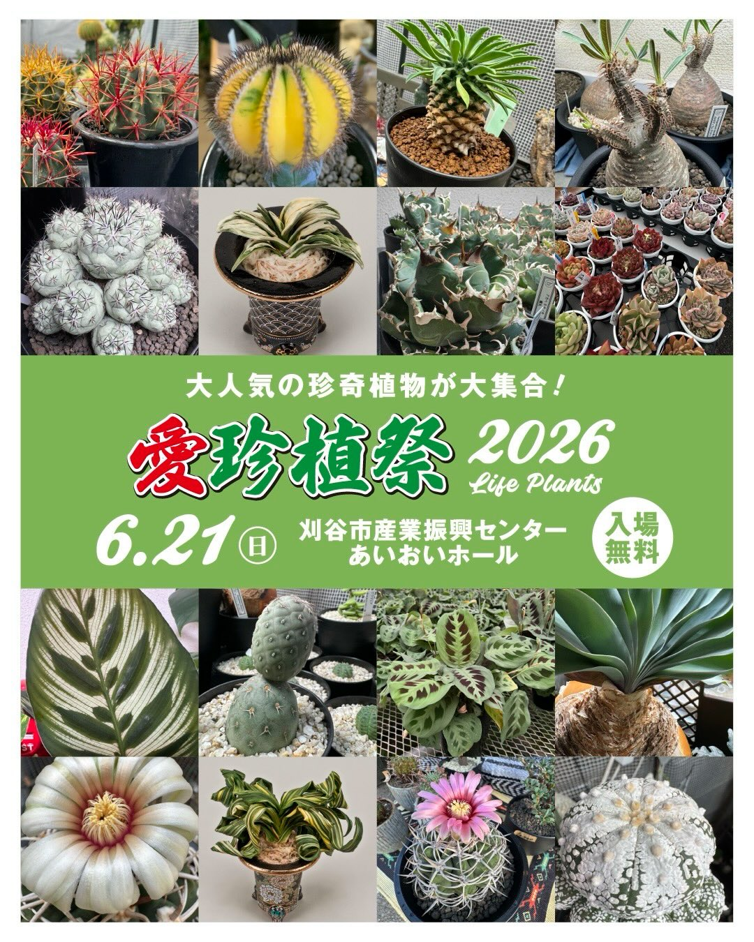 愛珍植祭2026が刈谷で開催、珍奇植物と多肉植物の販売が植物愛好家の注目に