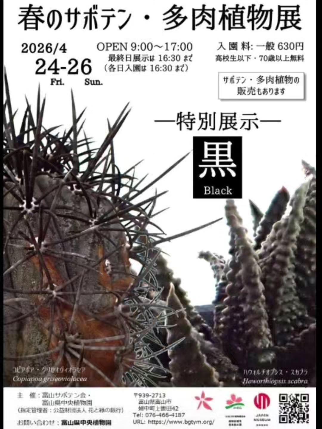 富山県中央植物園が春のサボテン多肉植物展2026を開催、特別展示黒と余剰苗販売が来園機会に