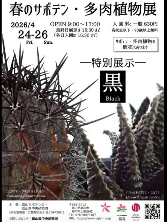 富山県中央植物園が春のサボテン多肉植物展2026を開催、特別展示黒と余剰苗販売が来園機会に