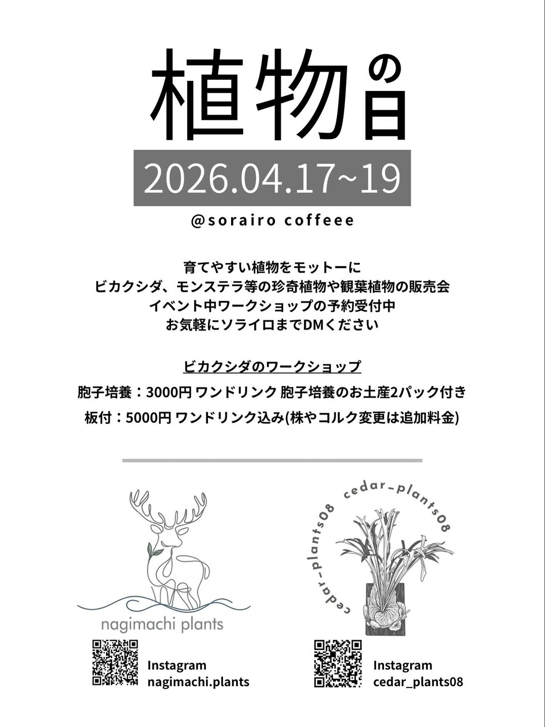 sorairo coffeeeが植物の日ビカクシダワークショップ2026を開催、珍奇