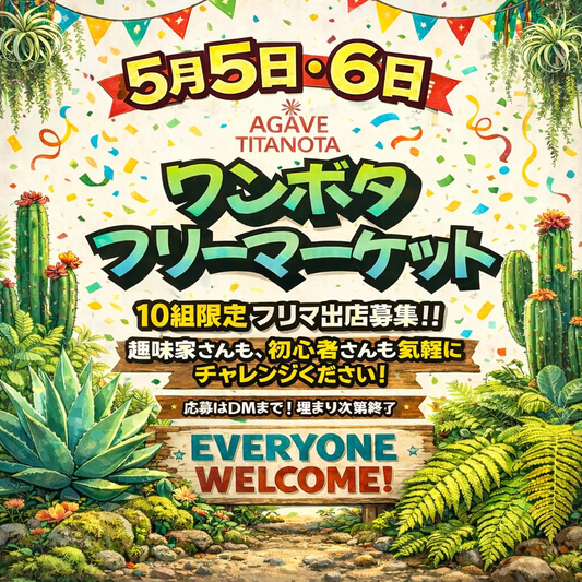 CARPE DIEMがWANWAN BOTANICAL FEST2026を開催、植物フリマ募集が佐野の注目に