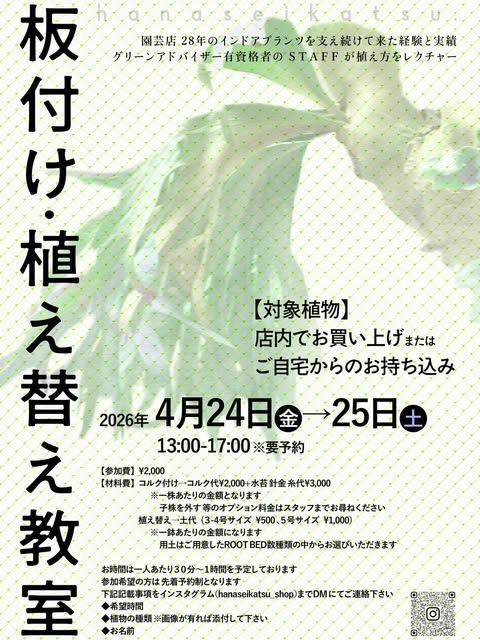 Hanaseikatsuが板付け植え替え教室2026を開催、ビカクシダ板付けと植え替え講習が札幌の注目に