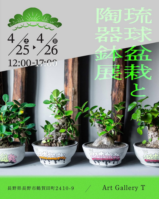 Art Gallery Tが琉球盆栽と陶器鉢展2026を開催、沖縄直送株と陶器鉢展示販売が長野の注目に