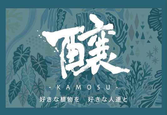 綠葉舎が醸KAMOSU2026を開催、ビカクシダ展示販売と音楽空間が日本橋兜町の注目に