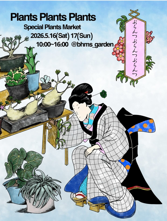 BHMS GARDENがPlants Plants Plants Special Plants Market 2026を開催、多彩な植物と鉢の販売が岐阜の注目に