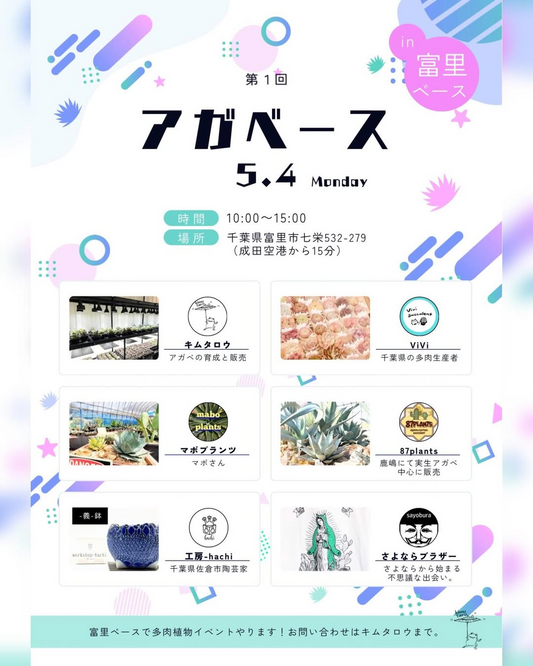 富里ベースが第1回アガベース2026を開催、アガベと多肉植物の展示販売が来場者の注目に