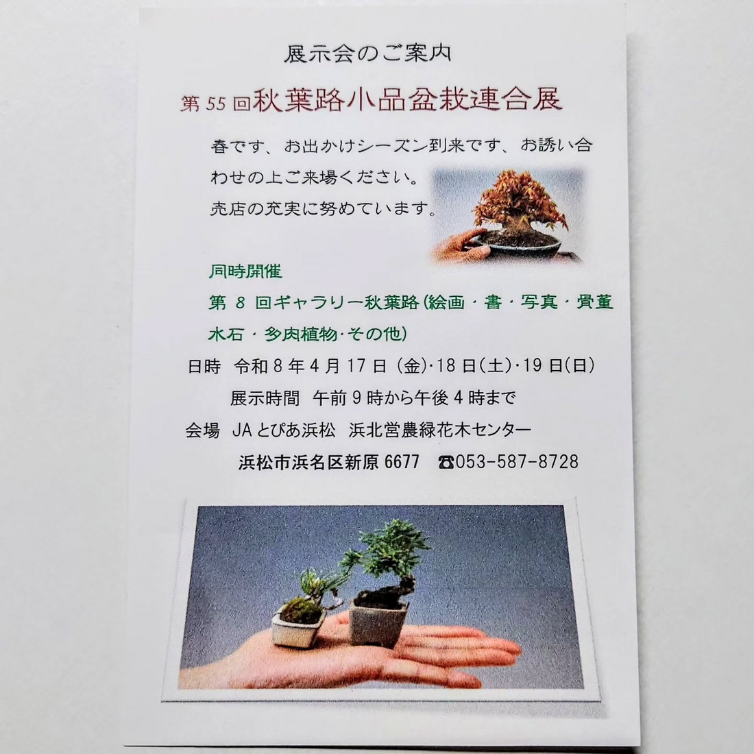 JAとぴあ浜松が第55回秋葉路小品盆栽連合展2026を開催、同時開催のギャラリー企画も見どころに