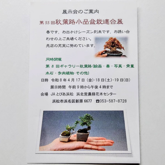 JAとぴあ浜松が第55回秋葉路小品盆栽連合展2026を開催、同時開催のギャラリー企画も見どころに