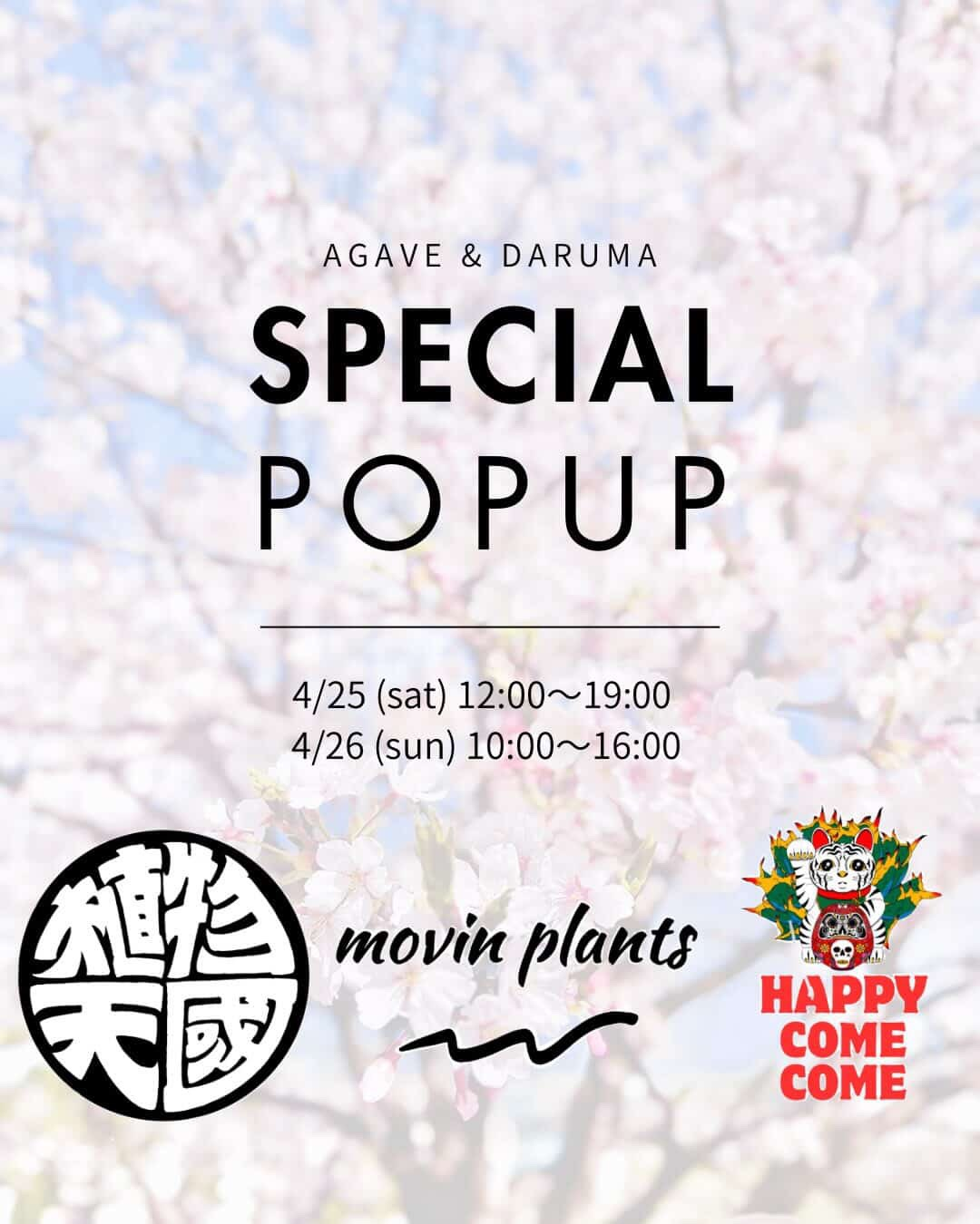 movin plantsがAGAVE ＆DARUMA Special POP UP2026を開催、アガベと独創的なだるま作品が福岡に集結