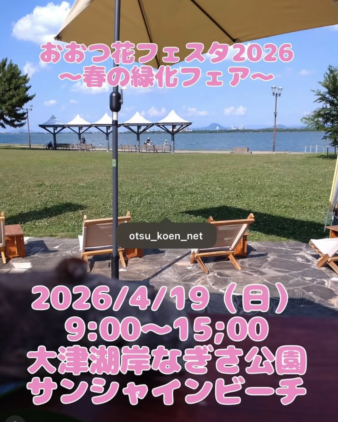 おおつ花フェスタ2026が大津湖岸なぎさ公園で開催、フラワーマルシェとアガベ販売が春の注目に