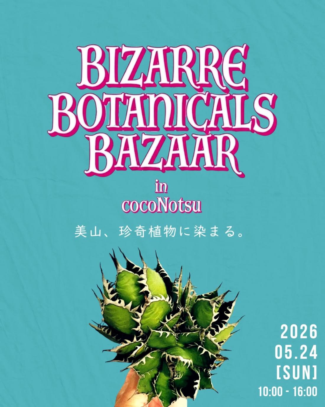 廃墟の植物 A4サイズ Bizarre Botanicals Bazaar in cocoNotsu2026が美山で開催、珍奇植物と