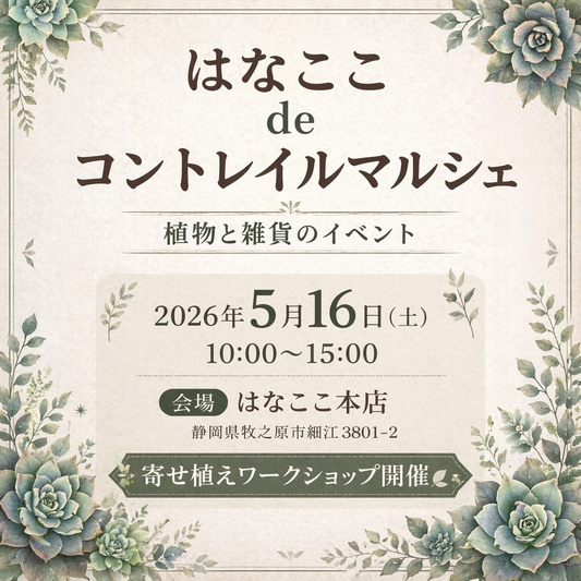 はなここ本店がはなここdeコントレイルマルシェ2026を開催、多肉植物相談と寄せ植え企画が来場者の実用に直結