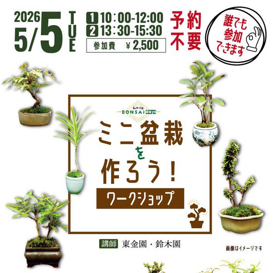 道の駅みのりの郷東金がミニ盆栽を作ろうワークショップ2026を開催、こどもの日に盆栽体験が参加者の思い出に
