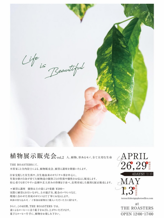 THE ROASTERSが植物展示販売会 vol.22026を開催、実生株と植替え講座が植物愛好家の注目に