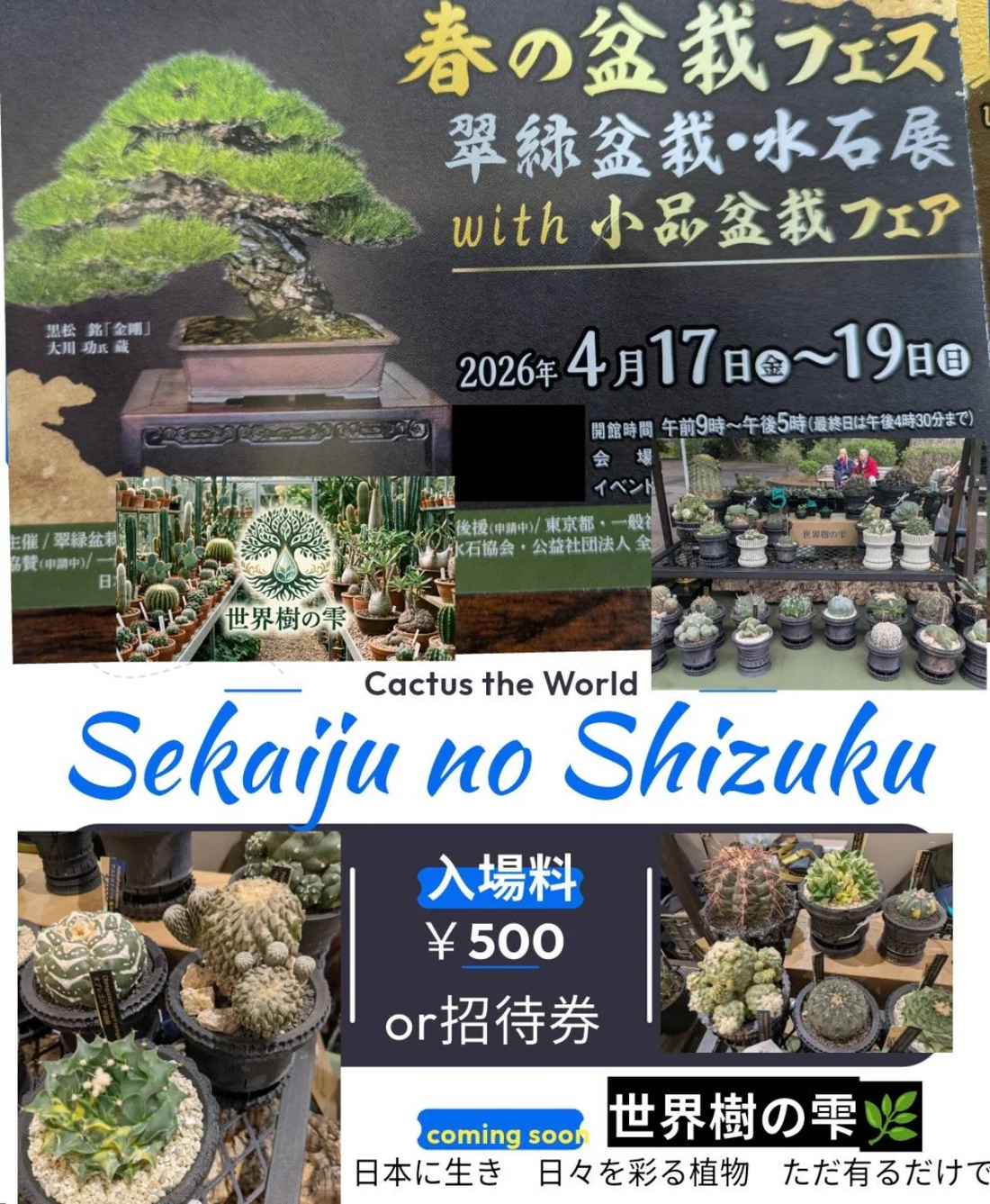 Cactus the world Sekaiju no Shizuku with 春の盆栽フェス2026を上野 Cactus the world Sekaiju no Shizuku with 春の盆栽フェス2026を上野