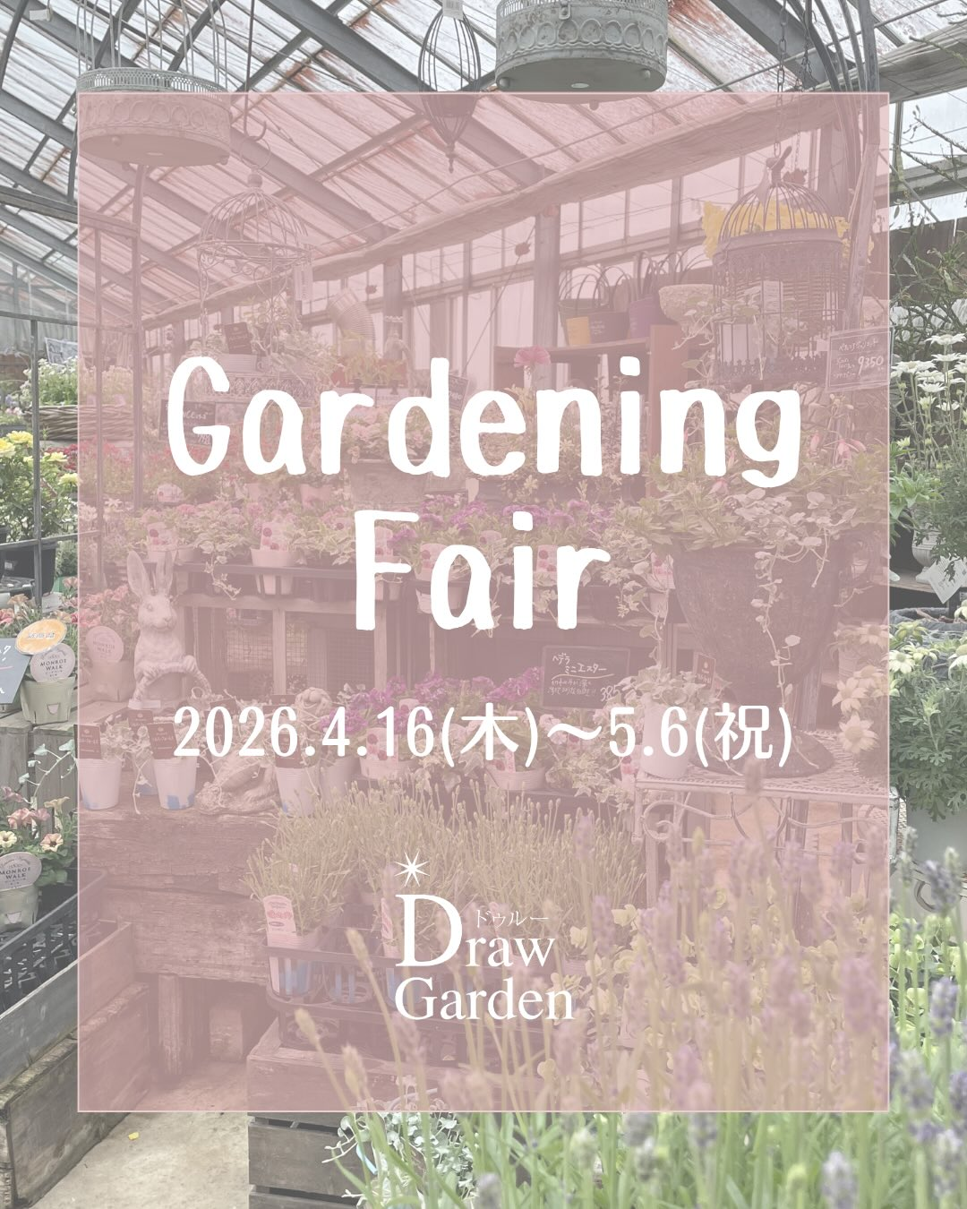 Draw Gardenが春のガーデニングフェア2026を開催、特価販売と講座企画が園芸シーズンの注目に