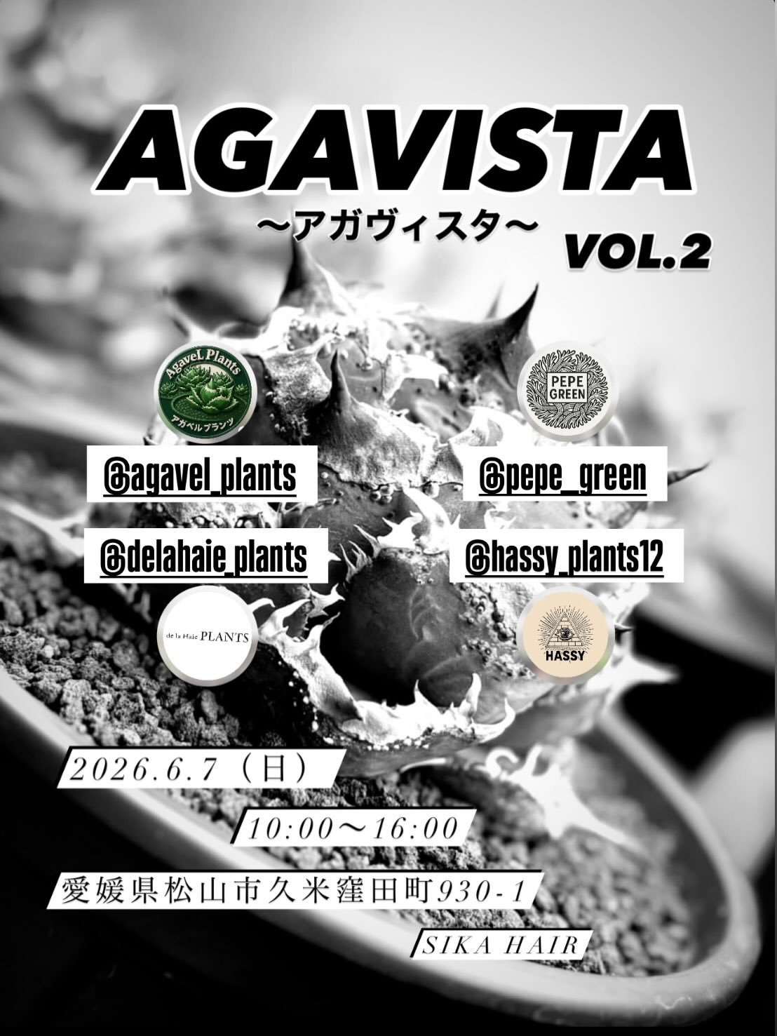 AGAVISTA vol.22026が松山で開催、アガベと塊根植物の販売企画が愛好家