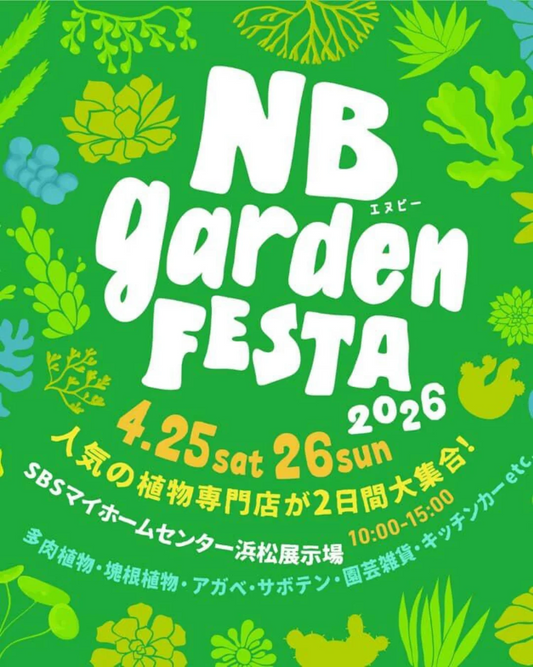 NBgarden Festa in 浜松展示場2026が開催、多肉植物販売と寄せ植え体験が浜松の注目に