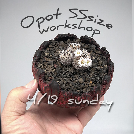 Opot SSsize workshop2026が北本団地商店街○×□で開催、短時間の器制作体験が参加者の注目に